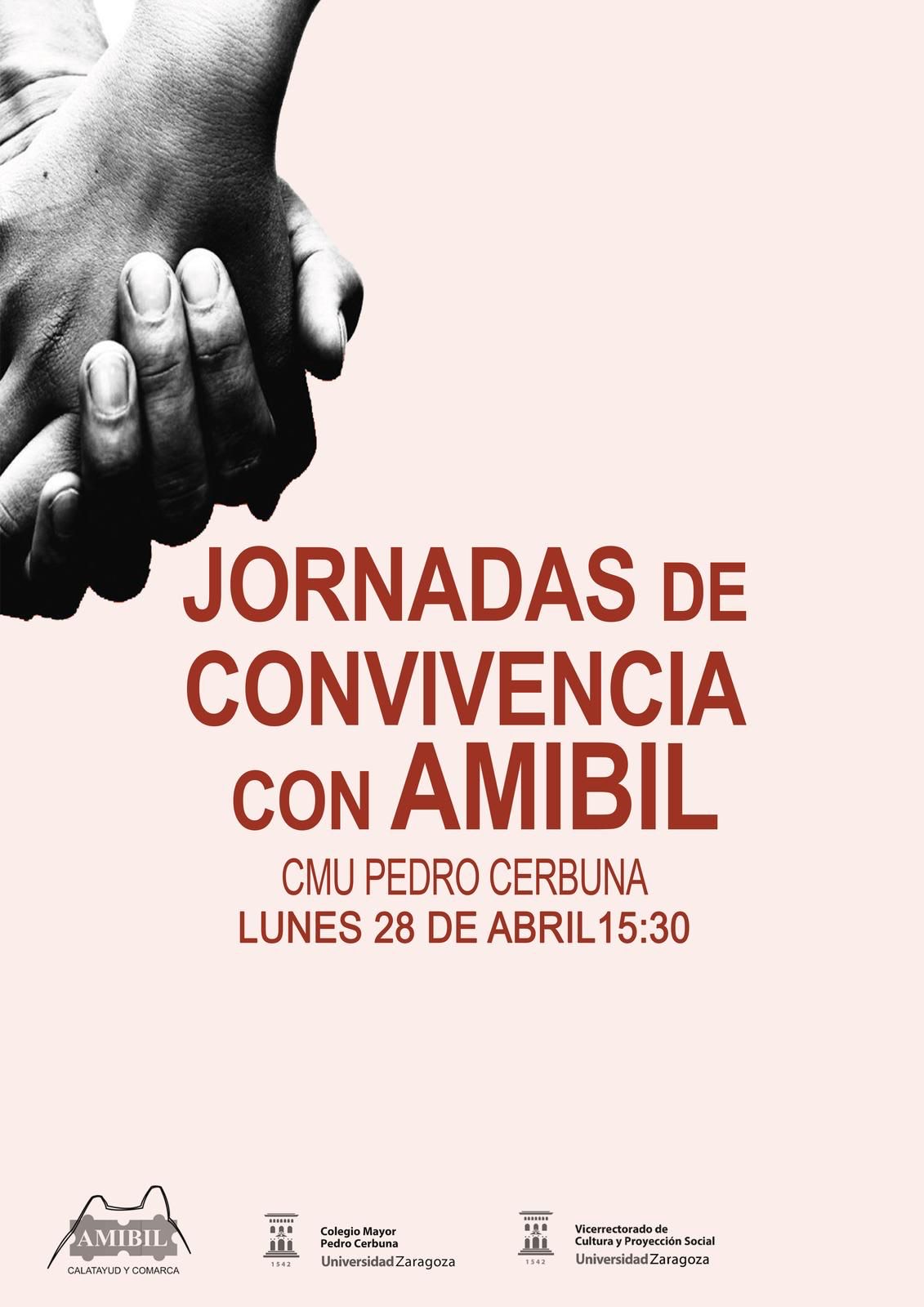 Cartel jornada AMIBIL