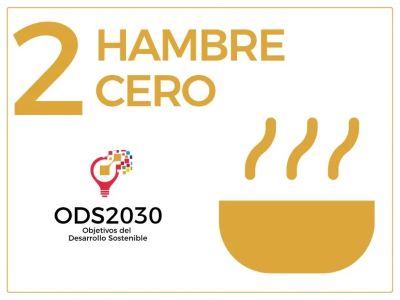 ODS hambre cero